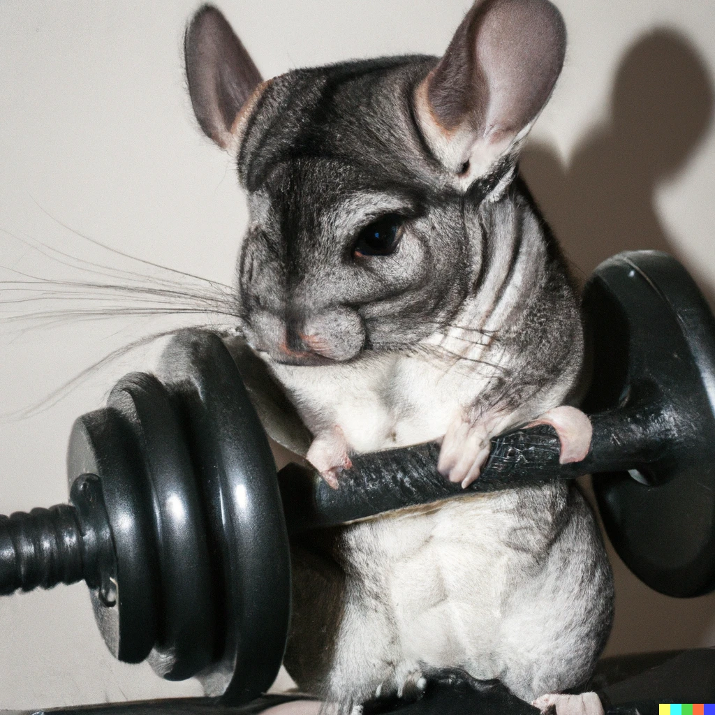Prompt: photo of a chinchilla lifting weights at the gym
