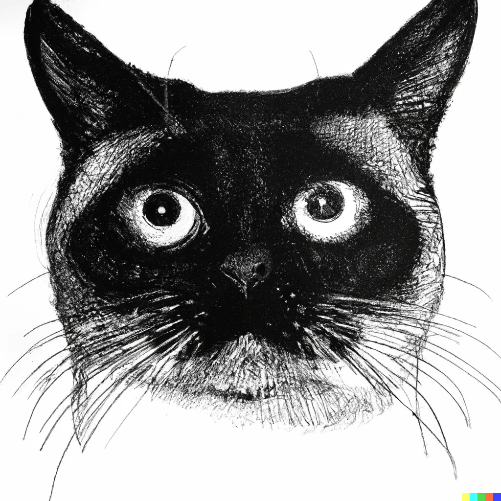 Prompt: "Photorealistic image of a cat with sloppily drawn eyebrows in black ink"