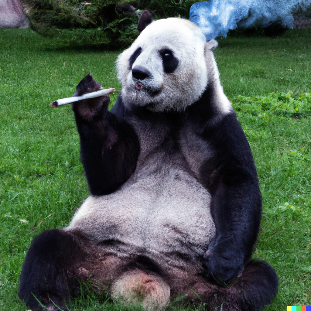 Prompt: A panda sitting in a park smoking, realistic photo